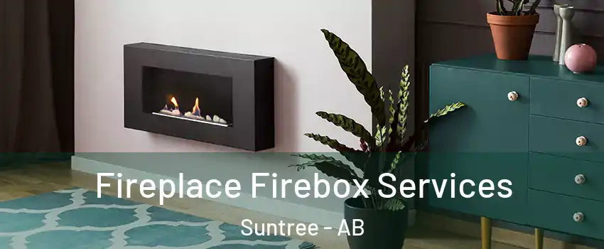  Fireplace Firebox Services Suntree - AB