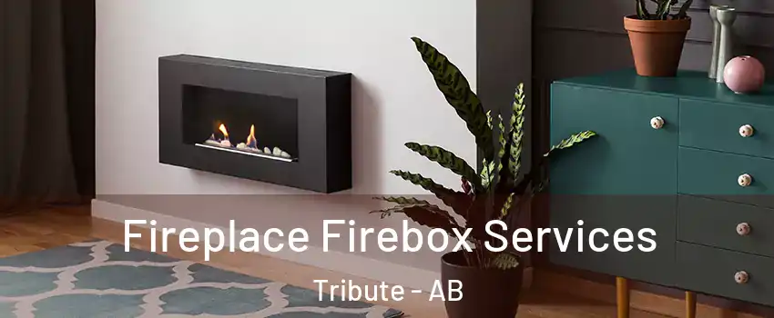  Fireplace Firebox Services Tribute - AB
