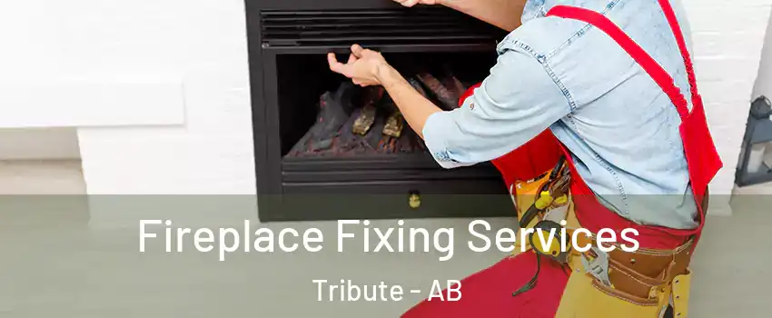  Fireplace Fixing Services Tribute - AB