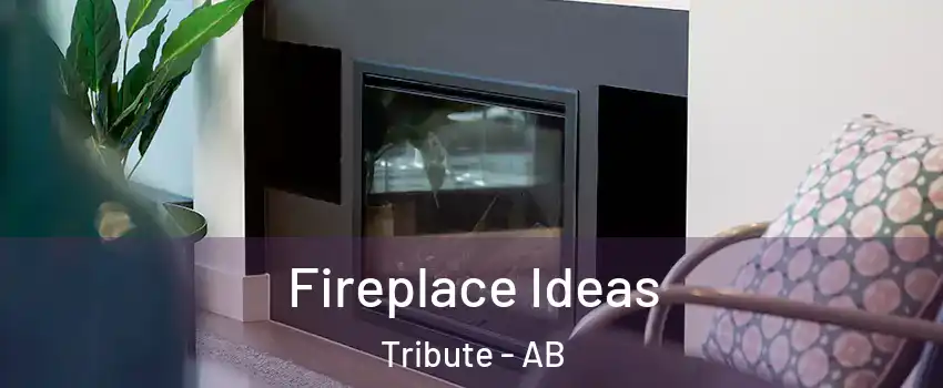  Fireplace Ideas Tribute - AB