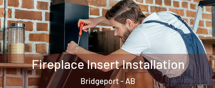  Fireplace Insert Installation Bridgeport - AB