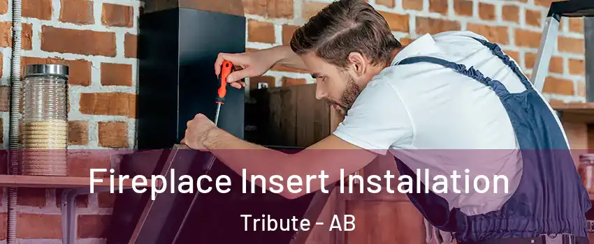  Fireplace Insert Installation Tribute - AB