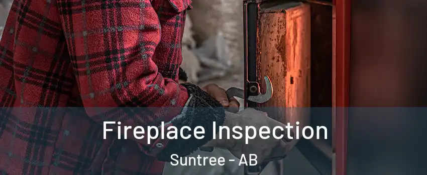  Fireplace Inspection Suntree - AB