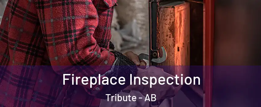  Fireplace Inspection Tribute - AB