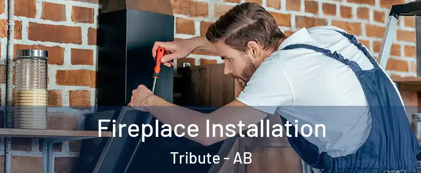  Fireplace Installation Tribute - AB