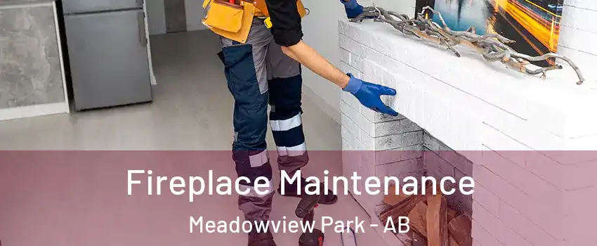  Fireplace Maintenance Meadowview Park - AB
