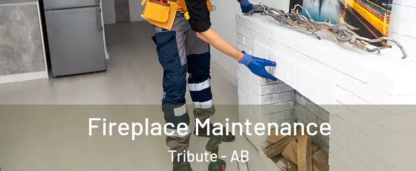  Fireplace Maintenance Tribute - AB