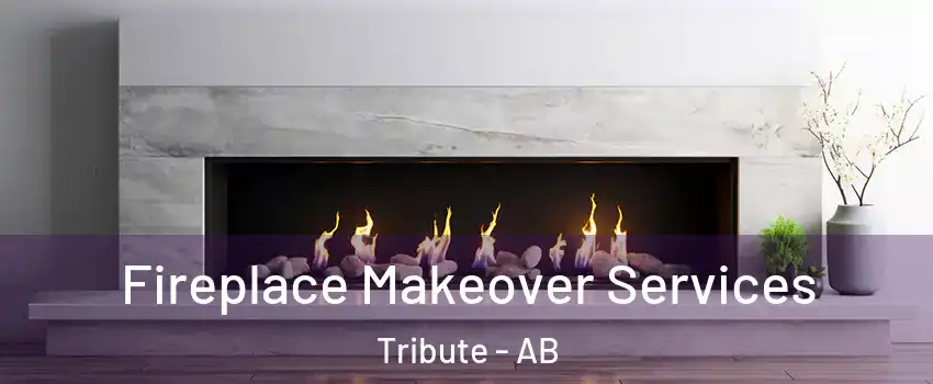  Fireplace Makeover Services Tribute - AB