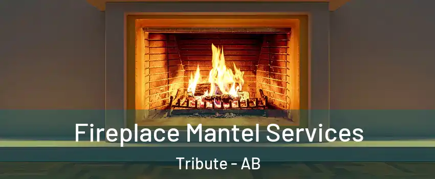  Fireplace Mantel Services Tribute - AB