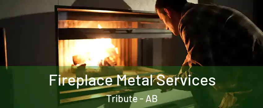  Fireplace Metal Services Tribute - AB