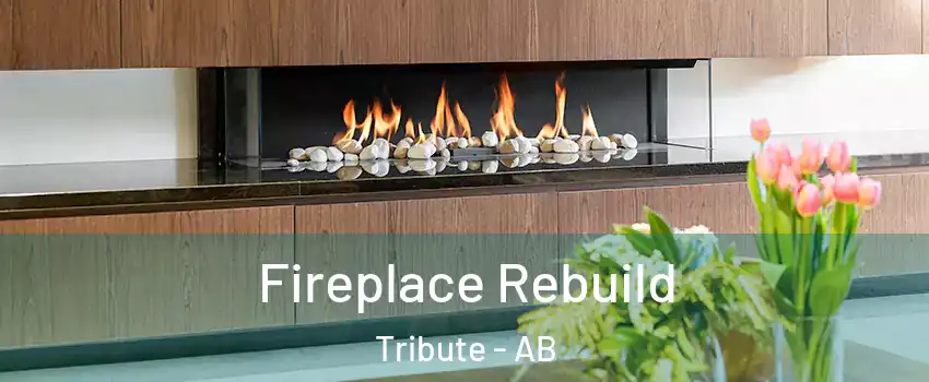  Fireplace Rebuild Tribute - AB