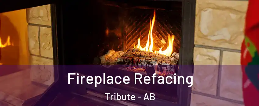  Fireplace Refacing Tribute - AB