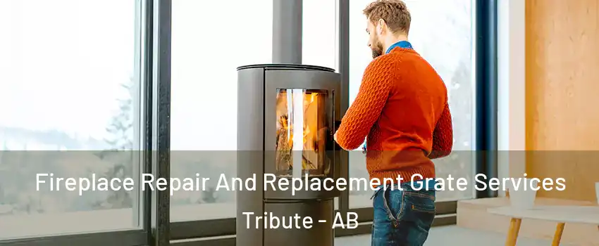  Fireplace Repair And Replacement Grate Services Tribute - AB