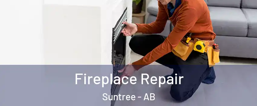  Fireplace Repair Suntree - AB