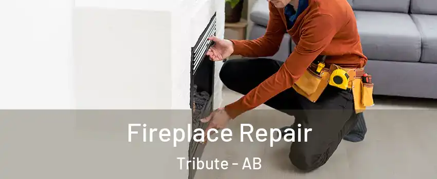  Fireplace Repair Tribute - AB