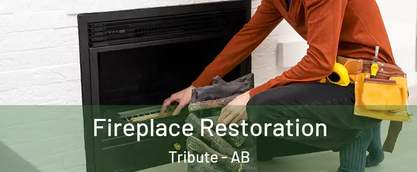  Fireplace Restoration Tribute - AB