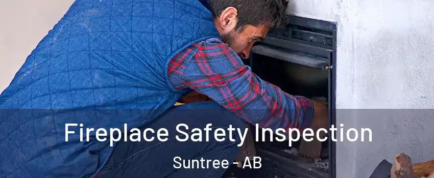  Fireplace Safety Inspection Suntree - AB