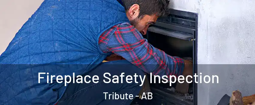  Fireplace Safety Inspection Tribute - AB