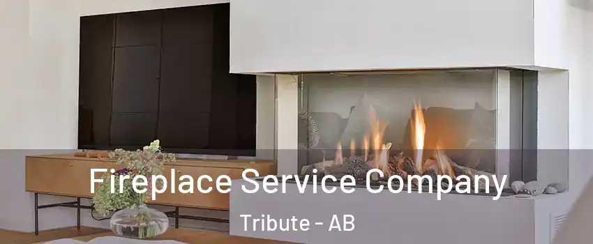  Fireplace Service Company Tribute - AB