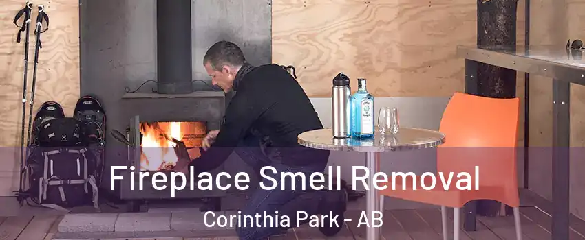  Fireplace Smell Removal Corinthia Park - AB