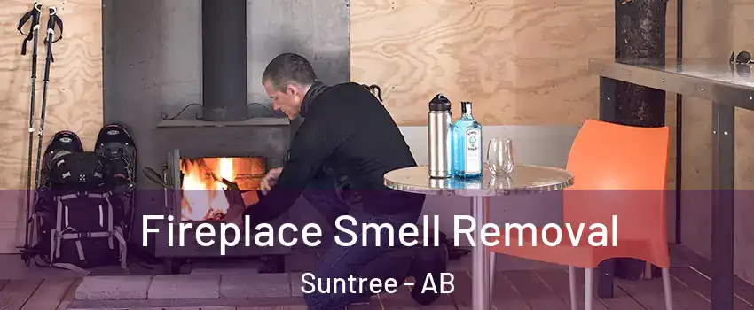  Fireplace Smell Removal Suntree - AB