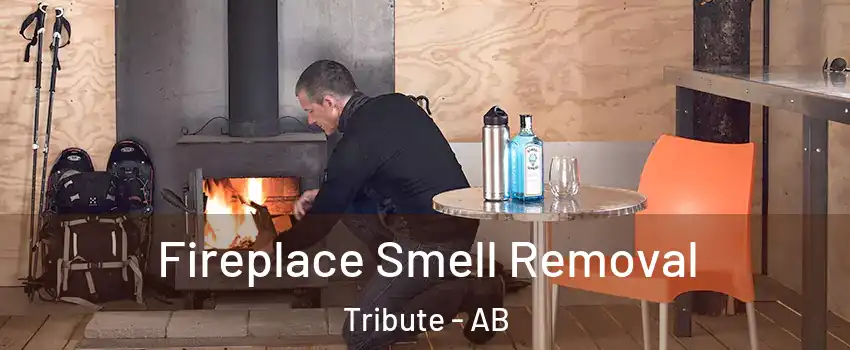  Fireplace Smell Removal Tribute - AB