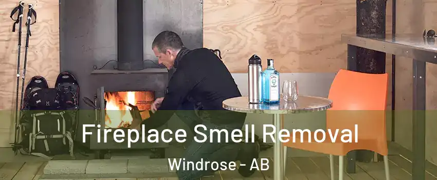  Fireplace Smell Removal Windrose - AB