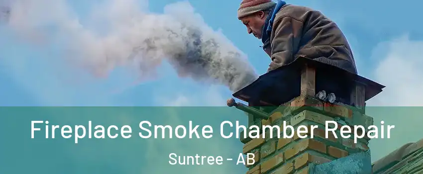  Fireplace Smoke Chamber Repair Suntree - AB