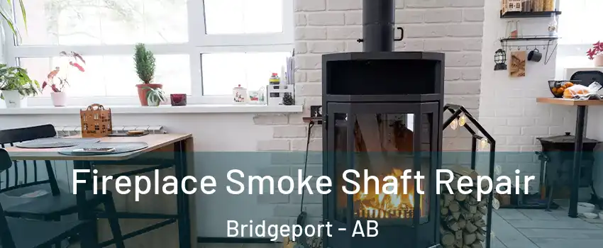  Fireplace Smoke Shaft Repair Bridgeport - AB