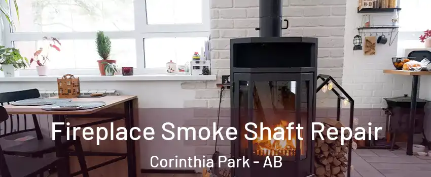  Fireplace Smoke Shaft Repair Corinthia Park - AB