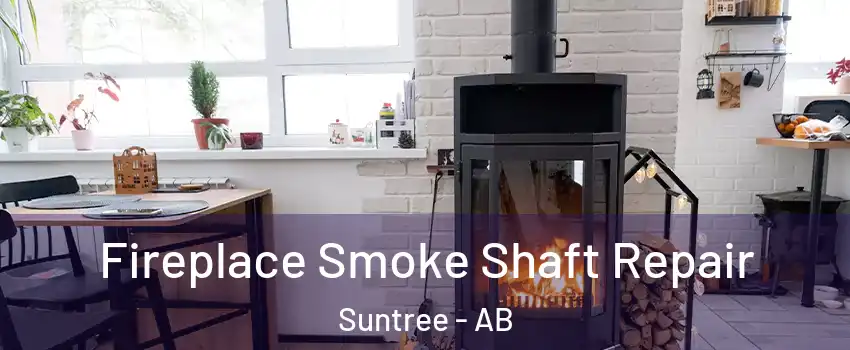  Fireplace Smoke Shaft Repair Suntree - AB