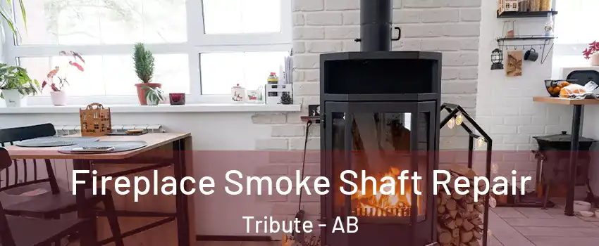  Fireplace Smoke Shaft Repair Tribute - AB