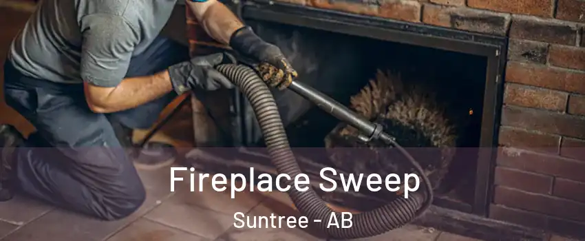  Fireplace Sweep Suntree - AB
