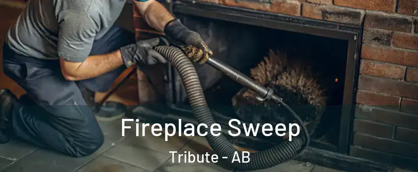  Fireplace Sweep Tribute - AB