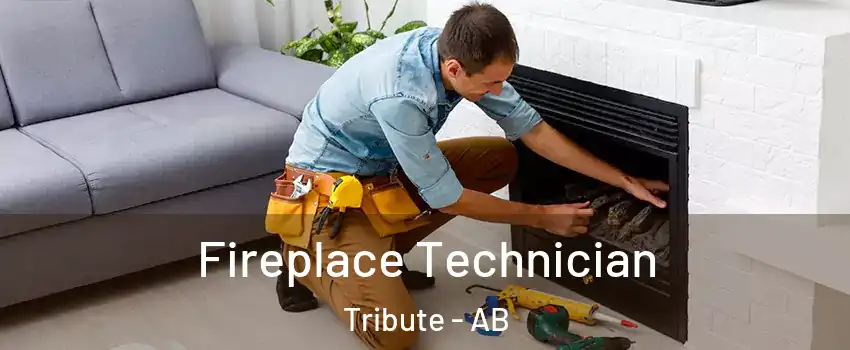  Fireplace Technician Tribute - AB