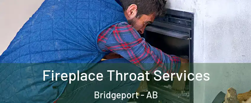  Fireplace Throat Services Bridgeport - AB