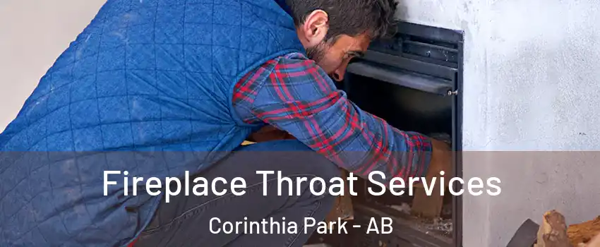  Fireplace Throat Services Corinthia Park - AB