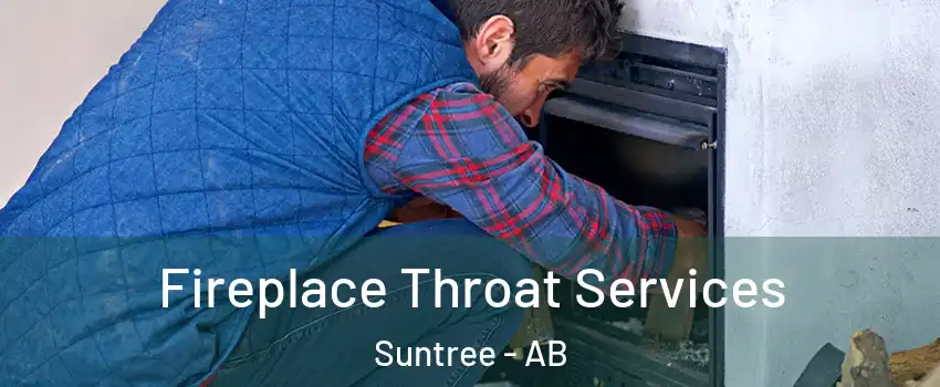  Fireplace Throat Services Suntree - AB