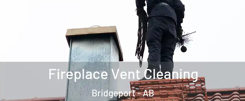  Fireplace Vent Cleaning Bridgeport - AB