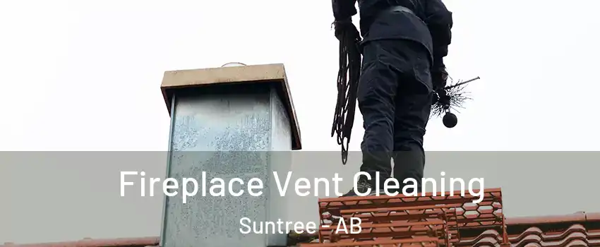  Fireplace Vent Cleaning Suntree - AB