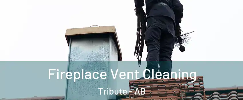  Fireplace Vent Cleaning Tribute - AB