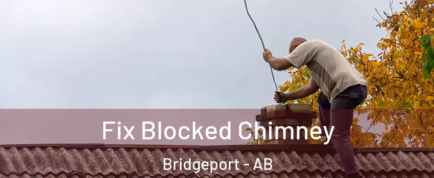  Fix Blocked Chimney Bridgeport - AB