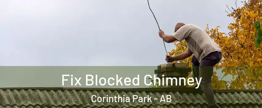  Fix Blocked Chimney Corinthia Park - AB