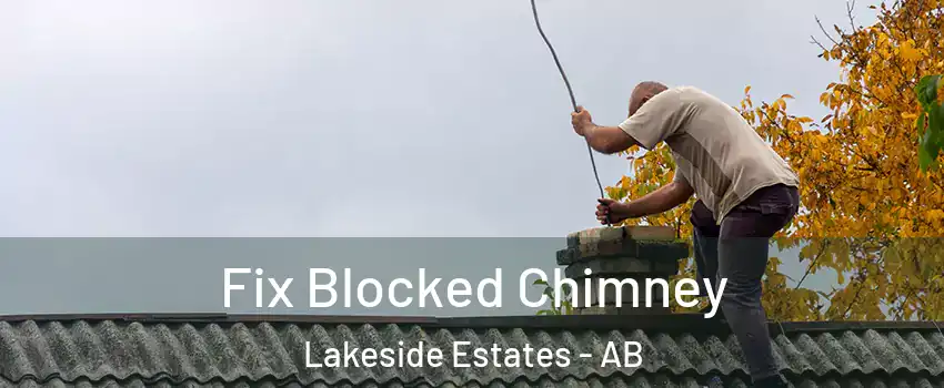  Fix Blocked Chimney Lakeside Estates - AB