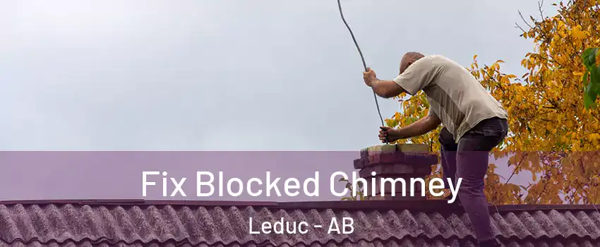  Fix Blocked Chimney Leduc - AB