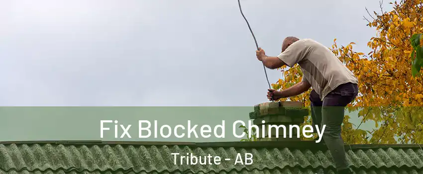  Fix Blocked Chimney Tribute - AB