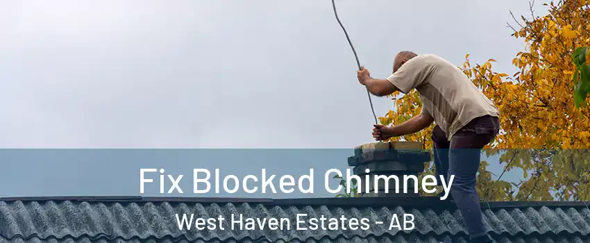  Fix Blocked Chimney West Haven Estates - AB