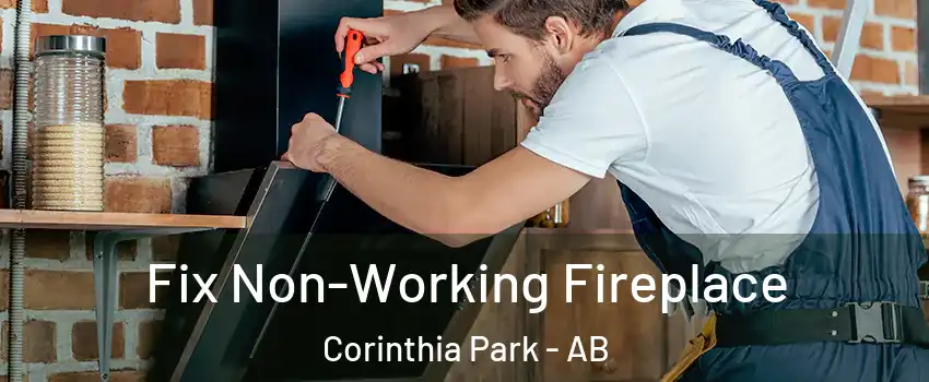  Fix Non-Working Fireplace Corinthia Park - AB