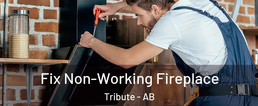  Fix Non-Working Fireplace Tribute - AB