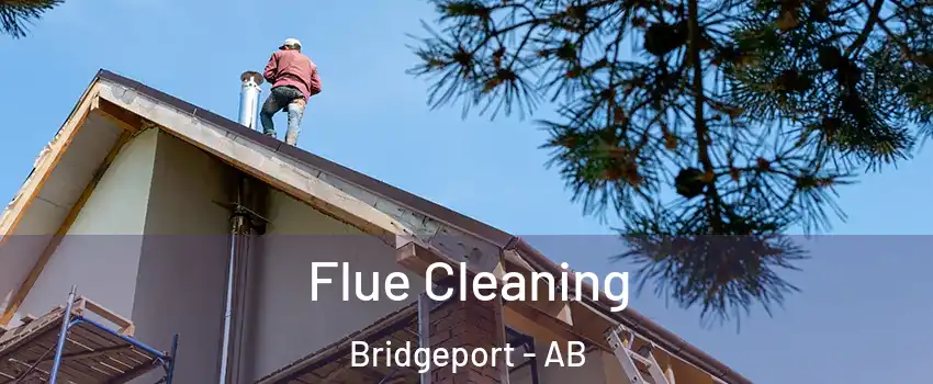  Flue Cleaning Bridgeport - AB